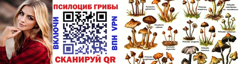 Галлюциногенные грибы GOLDEN TEACHER  цена наркотик  Кудымкар 